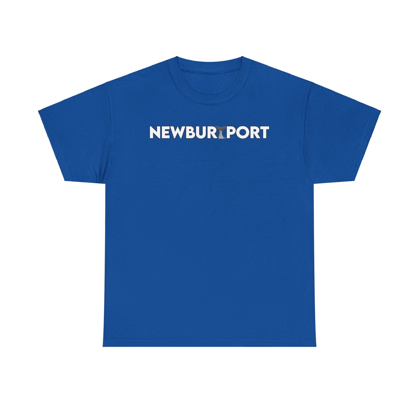 NEWBURYPORT NEVER STOP EXPLORING Unisex Heavy Cotton Tee