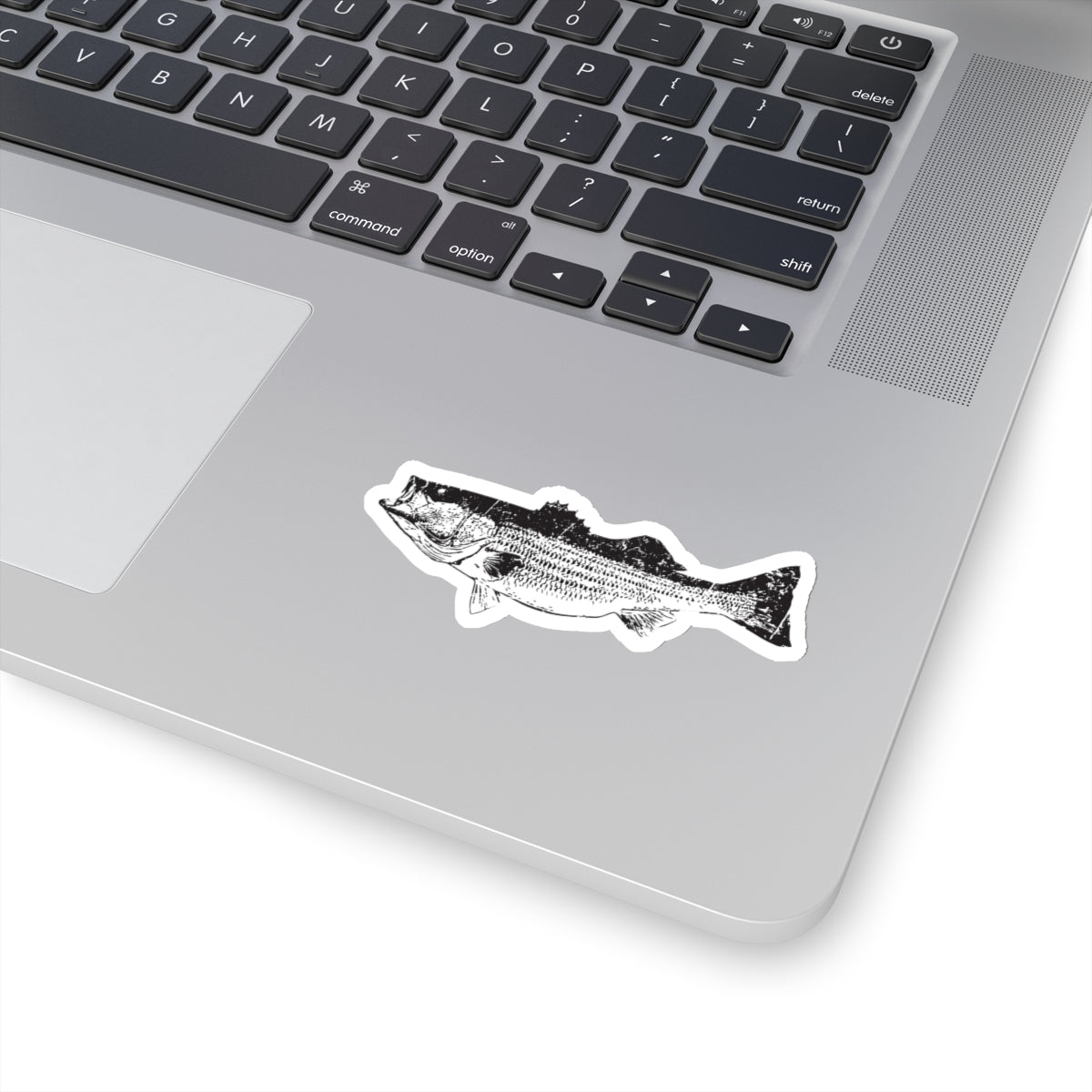 STRIPER Kiss-Cut Stickers