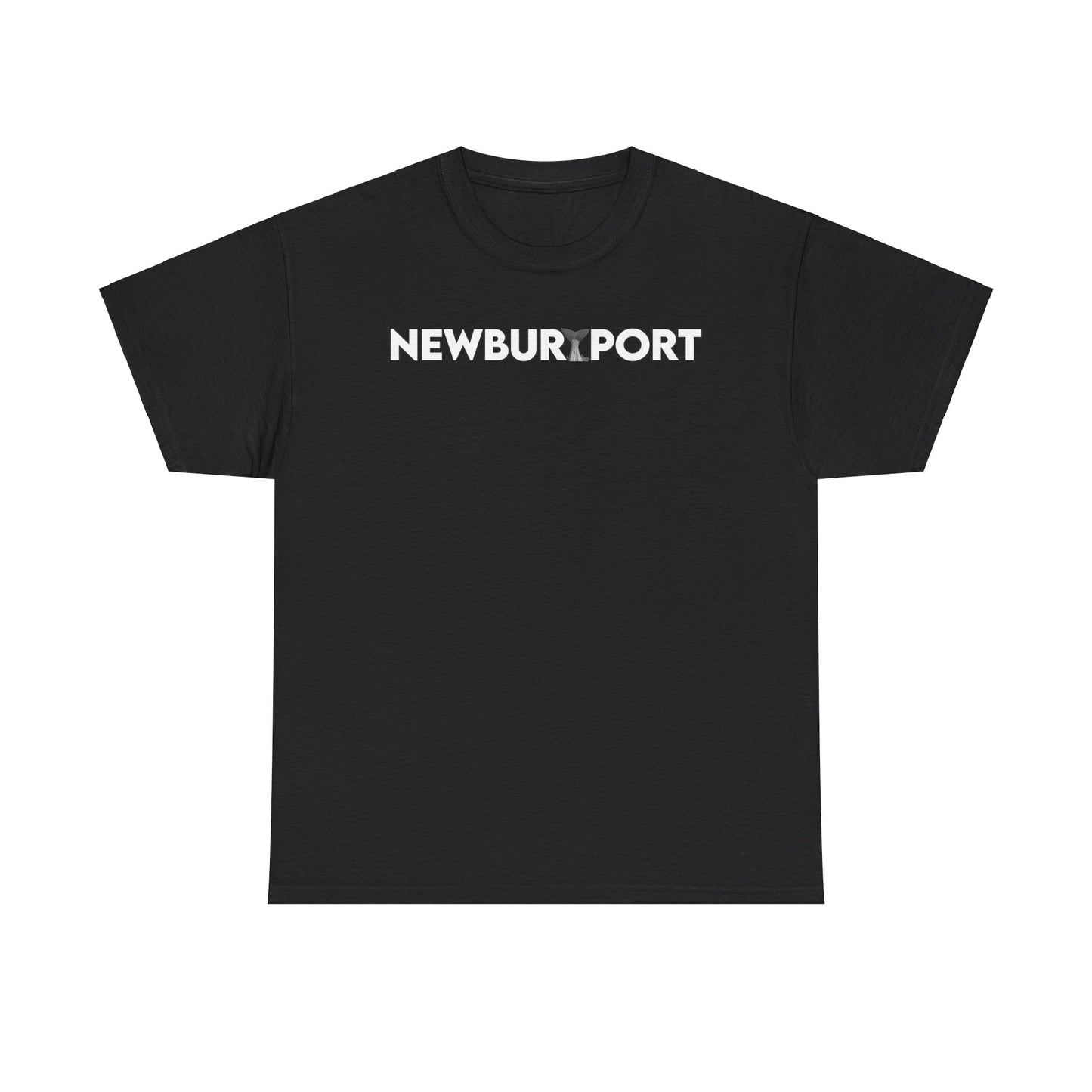 NEWBURYPORT NEVER STOP EXPLORING Unisex Heavy Cotton Tee